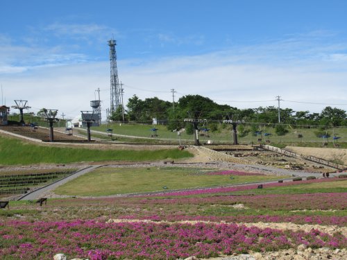 萩太郎山